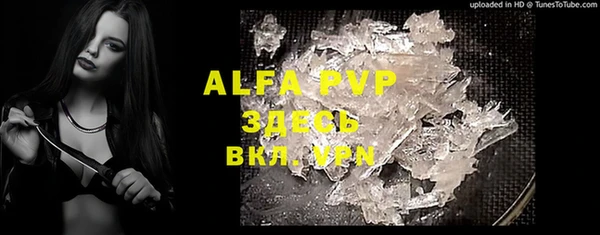 apvp Алзамай