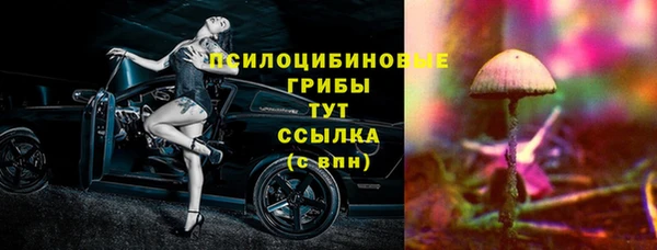 не бодяженный Аркадак