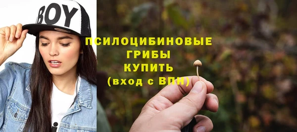 2c-b Алексеевка